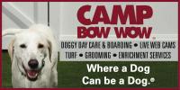 Camp Bow Wow - Carmel logo