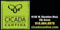 Cicada Cantina logo