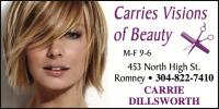 Carries's Vision of Beauty logo