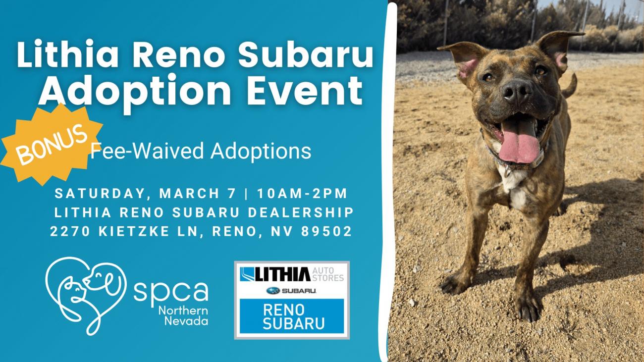 SPCA of Northern Nevada & Lithia Reno Subaru's BONUS Fee-Waived ...