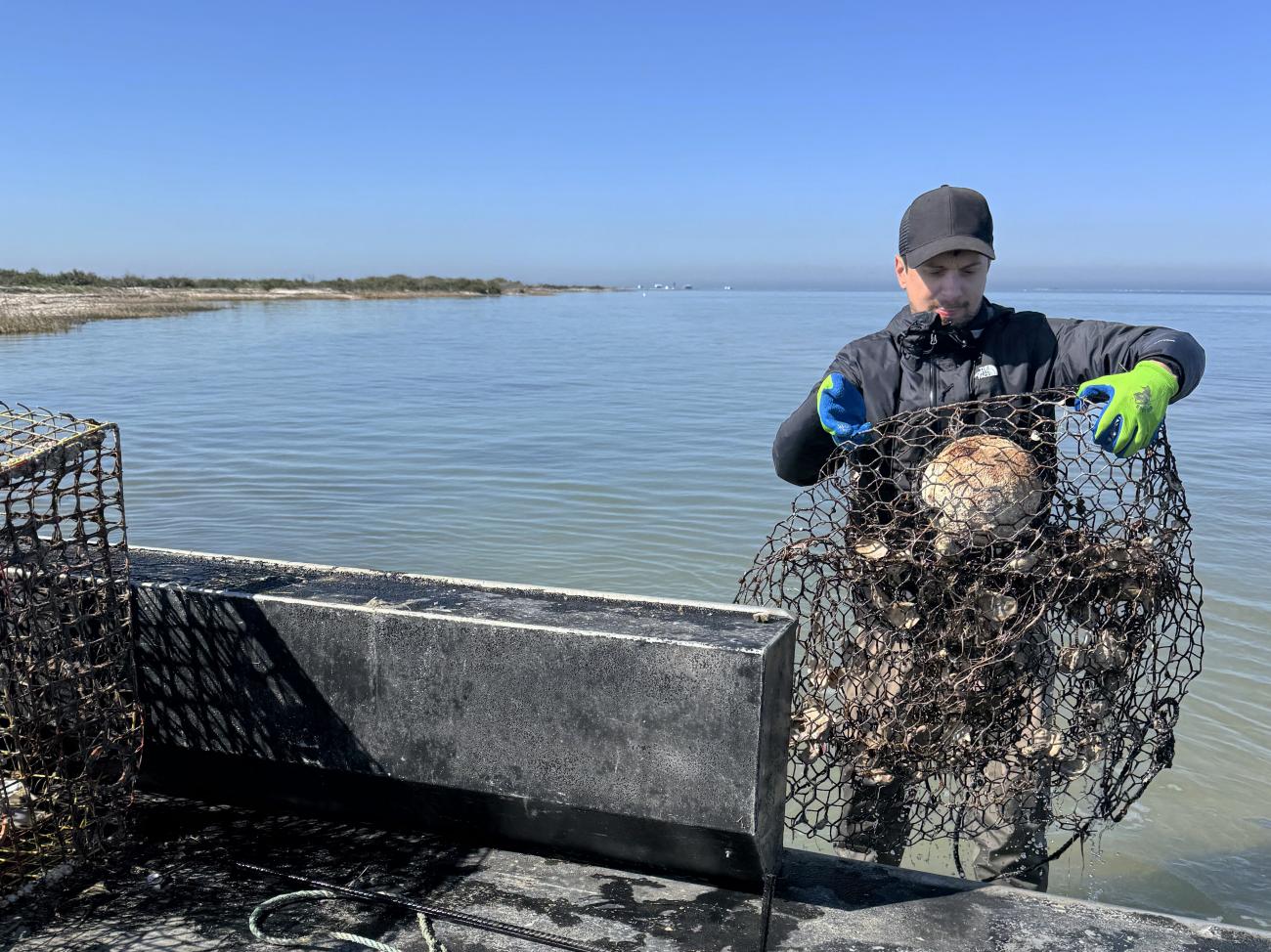 Trapping Orogram 2026 Annual Crab Trap Removal Program