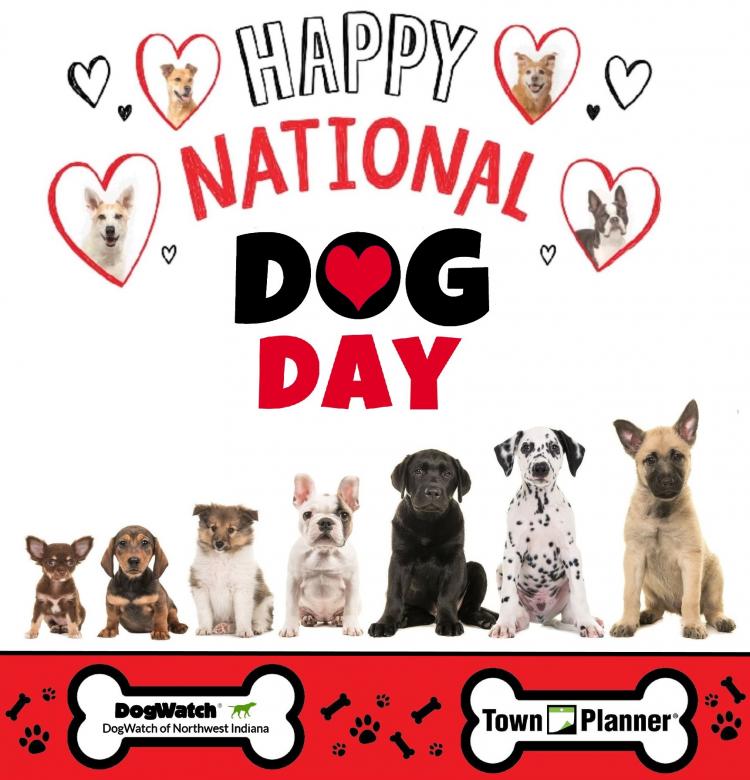 Happy National Dog Day!