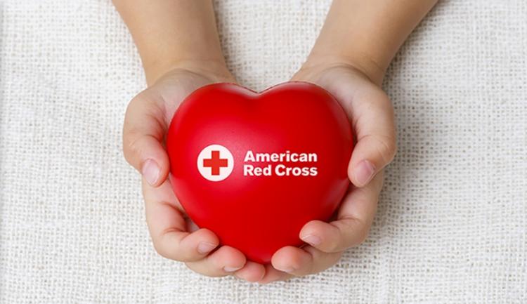 Donate Blood at a Red Cross Blood Drive