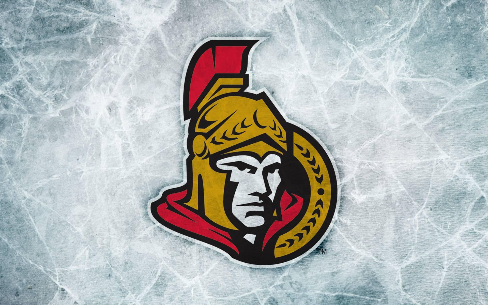 NHL Hockey - Ottawa Senators thumbnail photo