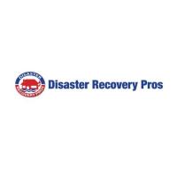Disaster Recovery Pros, Fire Damage Restoration Logo