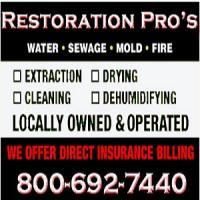 Water Damage Cleanup Pros of Haslet Logo