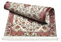 ValuClean Network Logo