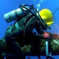 Fisk Marine Insurance International LLC Logo