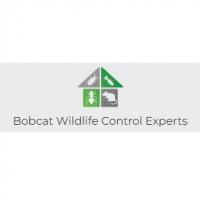 Bobcat Wildlife Control Experts Logo