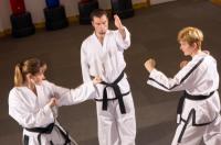 American Fitness and Martial Arts Logo