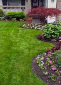 Eco Lawn of Heber-Midway Logo