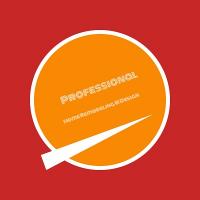 Professional Home Remodeling & Design Logo