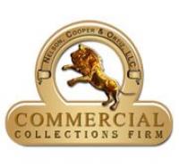 Nelson, Cooper & Ortiz, LLC Logo