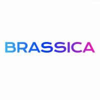 Brassica Finance logo