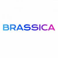 Brassica Finance Logo