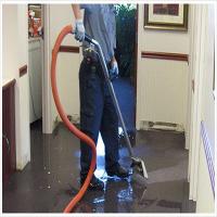 Spring Water Damage & Restoration Logo