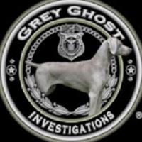 Grey Ghost - Private Investigator Logo