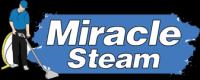 Miracle Steam Logo