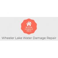 Wheeler Lake Water Damage Repair Logo