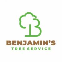 Benjamin's Tree Service Logo