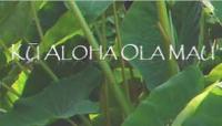 Kū Aloha Ola Mau Logo