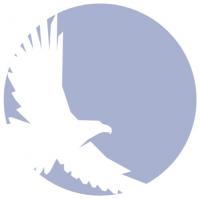 Mario Gunde Peters & Kelley Logo