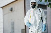 Pest Control Experts of Mesa Logo