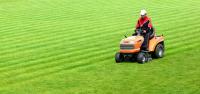 Absolute Lawn Care Svc Logo