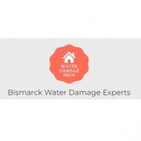 Bismarck Water Damage Experts Logo