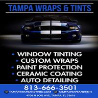 Tampa Wraps And Tints logo