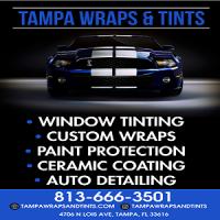 Tampa Wraps And Tints Logo
