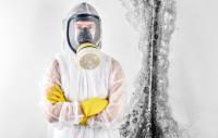 St Louis Mold Removal Pros Logo