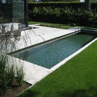 pacific landscape & pool design Logo