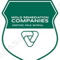 Santa Paula Mold Remediation Pros Logo