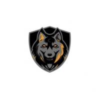 Lopez Transport LLC Logo