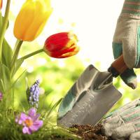 Evolution Landscaping Logo