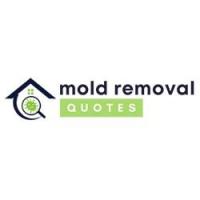 St. George Mold Removal Team Logo