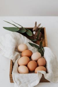 S & R Egg Ranch Logo