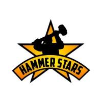 Hammer Stars, Inc Logo