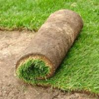 J & B Lawn Service Logo