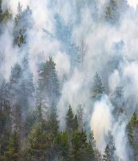 Bluegrass Smoke Damage Experts Logo