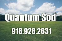 Quantum Sod logo