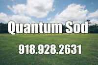 Quantum Sod Logo
