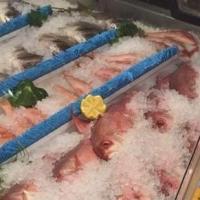 Express Poultry & Fish Logo