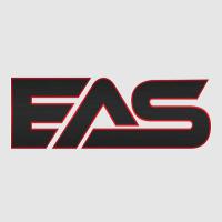 Endless Auto Styling Logo