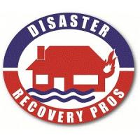 Disaster Recovery Pros, Fire & Water Damage Restoration, Mold Remediation Logo