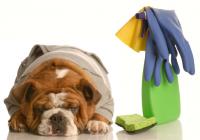 Sparkle Cleaning Services Logo