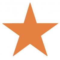 Big Tex Storage Logo