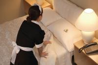 Mayra's Perfect House Logo