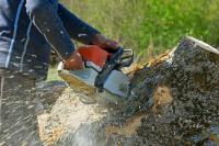 Norfolk Tree Service of Florence-Graham Logo